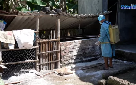 Phường Nam Nha Trang tăng cường kiểm tra, phòng chống dịch tả heo châu Phi