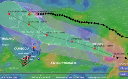 UBND tỉnh Khánh Hòa ban hành Công điện ứng phó bão số 10
