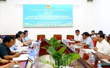 Ninh Thuận tăng tốc giải phóng mặt bằng dự án điện hạt nhân – Quyết tâm bàn giao đúng tiến độ