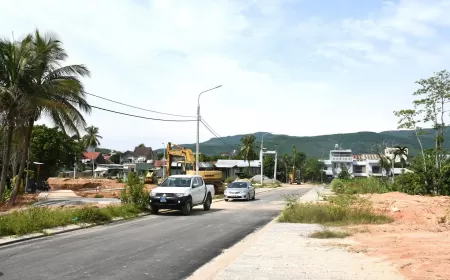 VCN được giao chủ đầu tư Dự án Khu nhà ở xã hội Vĩnh Hải