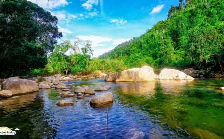 Giữ gìn vẻ đẹp danh thắng Suối Tiên